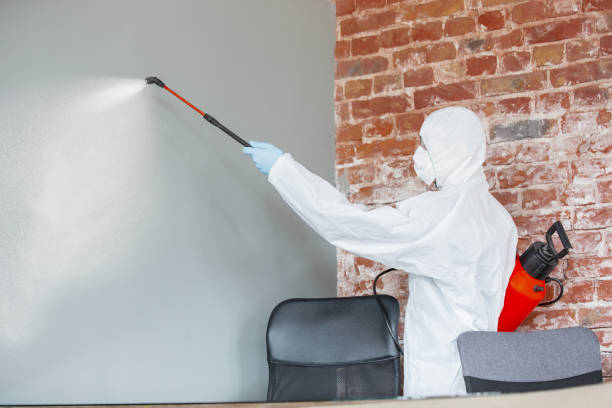 Best Emergency Mold Remediation  in Lawton, MI