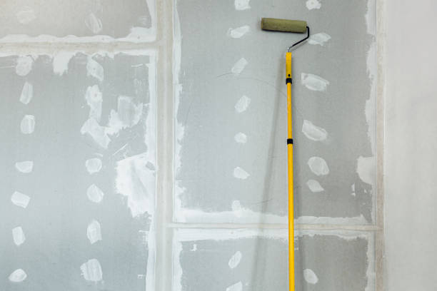 Best Industrial Mold Remediation  in Lawton, MI