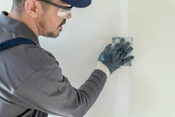 Best Black Mold Removal  in Lawton, MI