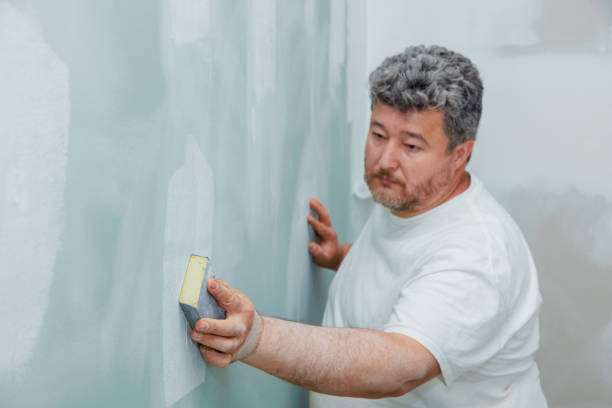 Mold Documentation for Insurance Claims in Lawton, MI