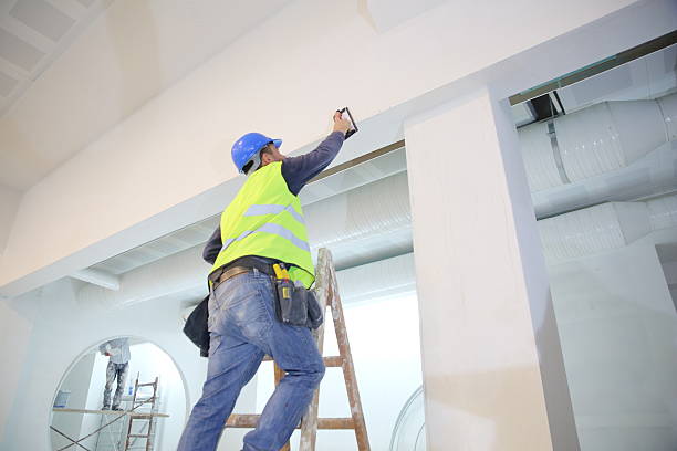 Best Mold Odor Removal Services  in Lawton, MI
