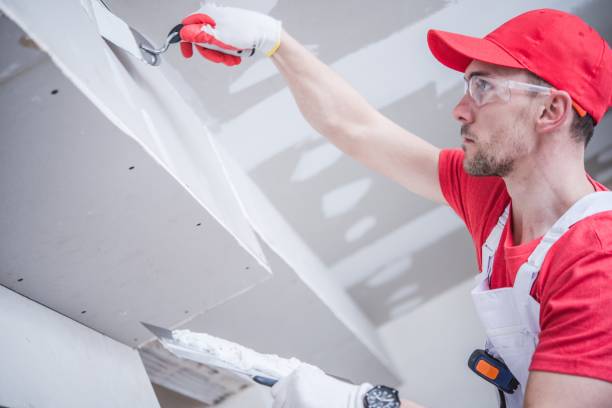 Best Mold Prevention Services  in Lawton, MI