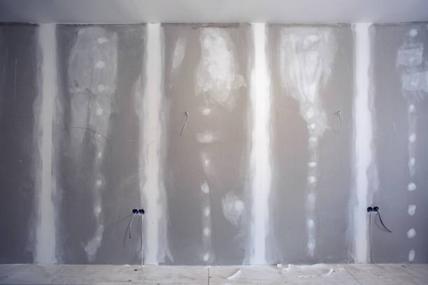 Best Comprehensive Air Testing for Mold Contaminants  in Lawton, MI
